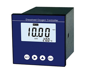 Do2000在線(xiàn)溶解氧測(cè)定儀(面板式)