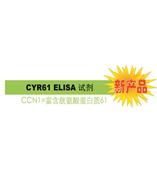 CYR61 是診斷 / 判斷乳腺癌惡化的腫瘤標(biāo)志物。